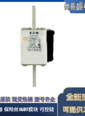 BUSSMANN低压熔断器170M5066  170M5067 170M5068 巴斯曼熔断器