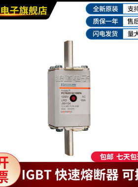 PC70UD13C100PA-J301124 PC70UD13C125D1A-Y300539罗兰快速熔断器