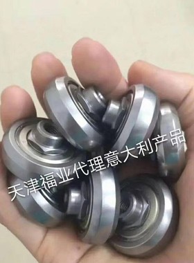 CPN18-2RS同心滚轮CPA18-2Z偏心轮，NT18滑块，意大利ROLLON