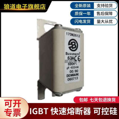 供应全新现货170M2612 170M2613 170M2614 170M2615巴斯曼熔断器