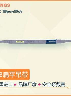 德国原装进口高强度扁平吊装带  SpanSet重型扁平吊带Powerband