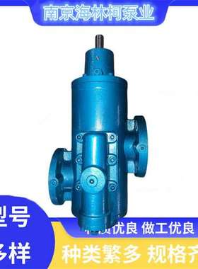 C22AS81RM螺杆泵BN35-6L BN52-6L L3MF-038/068船ZASV550G8.3FW20