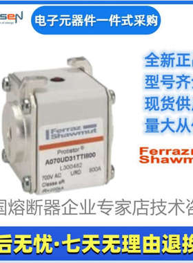 Ferraz罗兰熔断器PC31UD69V160TF M300299美尔森Mersen