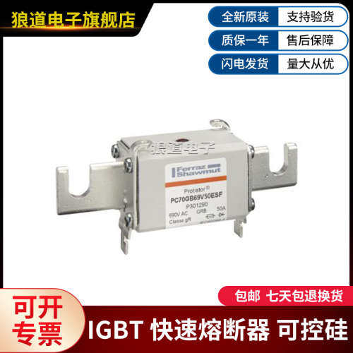 PC70GB69V50ESF-P301290 PC70GB69V63ESF-Q301291罗兰快速熔断器