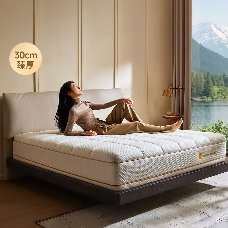 8H黄金睡眠弹簧床垫ProMax