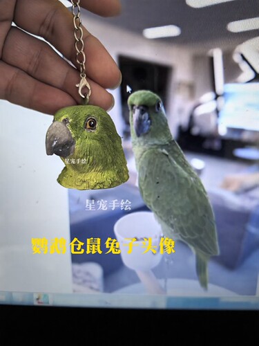 兔鼠鸟乌龟鹦鹉定制石膏头像异宠全身像冰箱贴钥匙扣车载香薰摆件