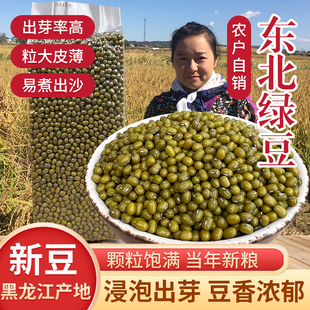 费新豆东北绿豆脱皮发豆芽绿豆汤粥糕原材料农家自产杂粮 1kg 免邮