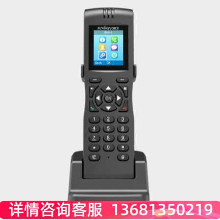 FLYINGVOICE飞音时代手持式双频无线SIP电话机 FIP16plus无绳话机
