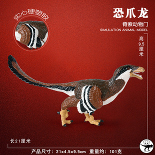 白垩纪副鸟类驰龙科恐龙恐爪龙模型儿童科教认知玩具仿真动物实心