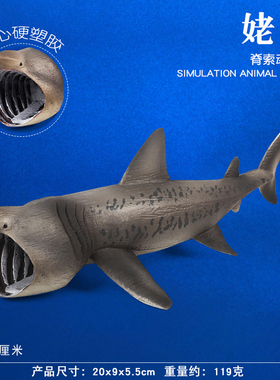海洋动物玩具姥鲨模型姥鲛仿真鲨鱼实心海底生物儿童科教认知摆件