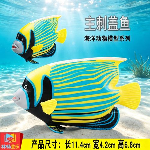 林畅童乐儿童海洋动物玩具仿真主刺盖鱼模型皇后神仙摆件科普认知