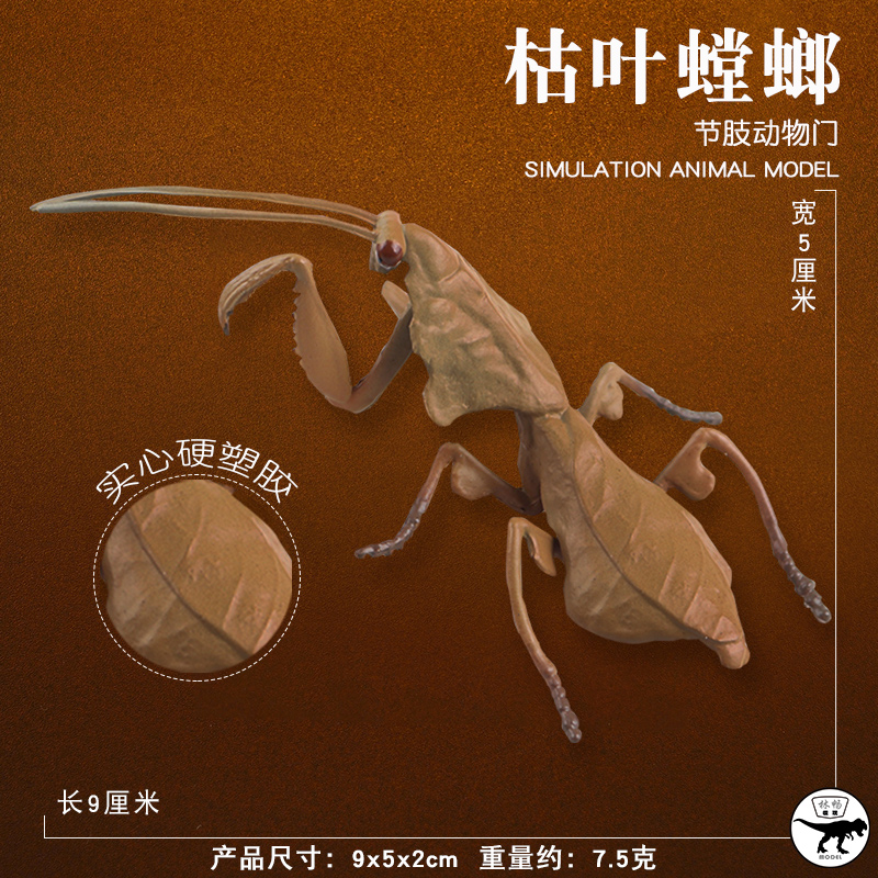 林畅模玩枯叶螳螂模型仿真昆虫