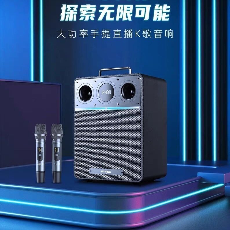 【正品】维尔晶T6大功率户外广场K歌蓝牙演出直播乐器音箱便携