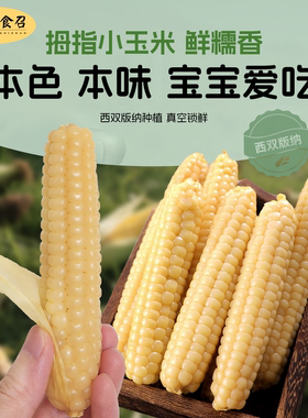 西双版纳拇指小玉米棒儿童宝宝爱吃软香糯云南特产手指包谷真空装