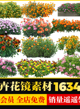 园林景观花卉植物procreate花镜花坛效果图PNG免抠带名称PS素材库