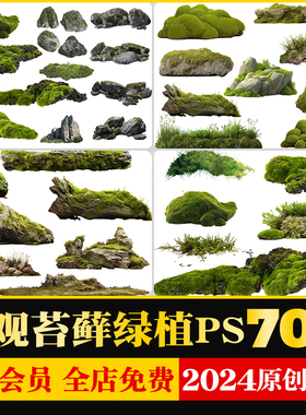 园林景观耐阴植物蕨类苔藓矾根苔藓花镜地被PS素材psd免扣源文件