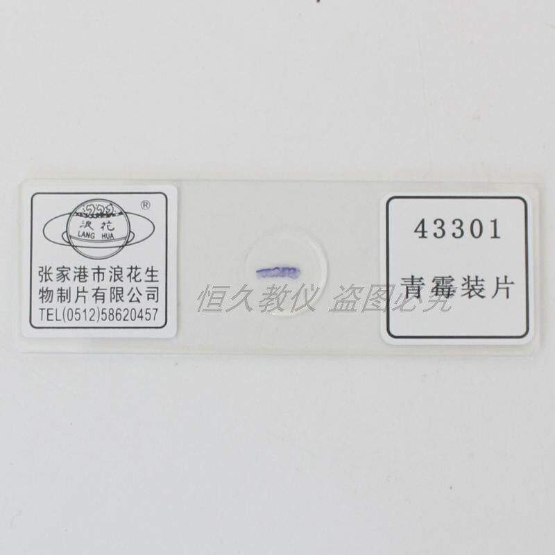 43301青霉装片中学生物教学实验用切片玻片浪花牌学生分组用