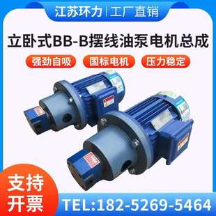 B4JZ摆线齿轮油泵电机组BB B50JZ B63JZ 125JZ B40JZ B10