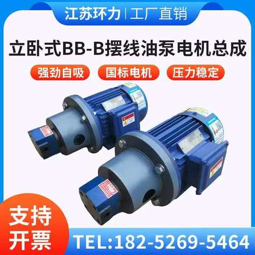 低噪音BB-B摆线油泵电机总成