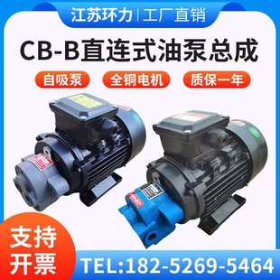B10 B2.5 液压油泵电机组370W 750W循环油泵 齿轮泵CB 550W