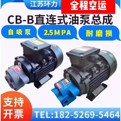 专注CB-B润滑泵全程空运发货