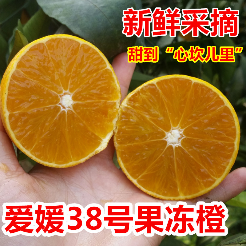 正宗眉山丹棱爱媛38号果冻橙新鲜当季水果现摘现发特价包邮图片