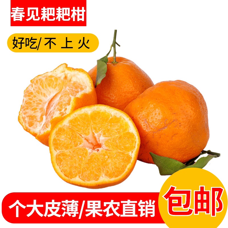 四川春见耙耙柑新鲜水果精选粑粑桔子