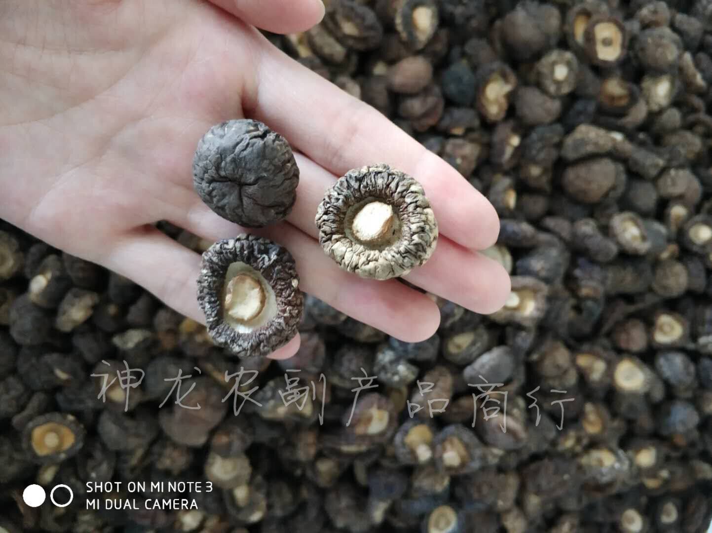 Basswood Super Money mushroom 500g wild mushrooms Pearl mushroom dried food Mushroom Farm Lishuiyunin the Agri rice/Dried foods/Condiment , Dried foods/Meat Dry , Dry/Native , Mushroom category  category - from Buy2taobao.com to provide professional Taobao agent buy service