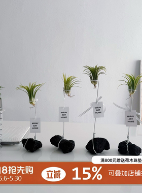 2026新款空气凤梨创意支架ins风高级感手作咖啡柜办公桌装饰摆件