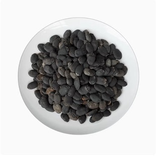 中药材店铺 精选纯黑色生丝瓜子 丝瓜籽 乌牛子 50g