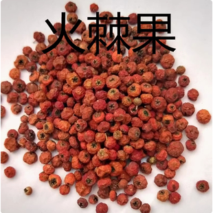 中药材精选火棘果 火棘子 火把果 救兵粮 救军粮 赤阳子50克