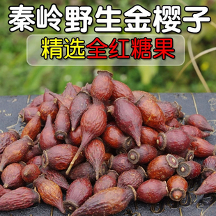 中药材 金樱子50g干果泡酒金英子果泡茶新鲜干货正品
