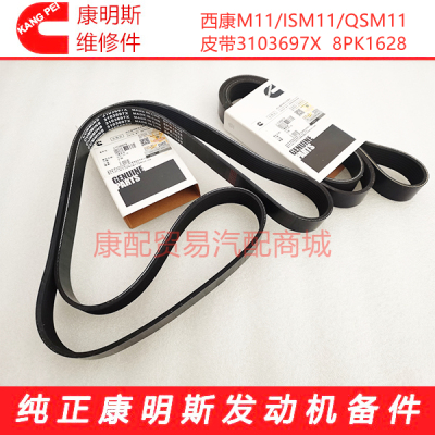西安康明斯M11/ISM11/QSM11发动机皮带3103697X/8PK1628