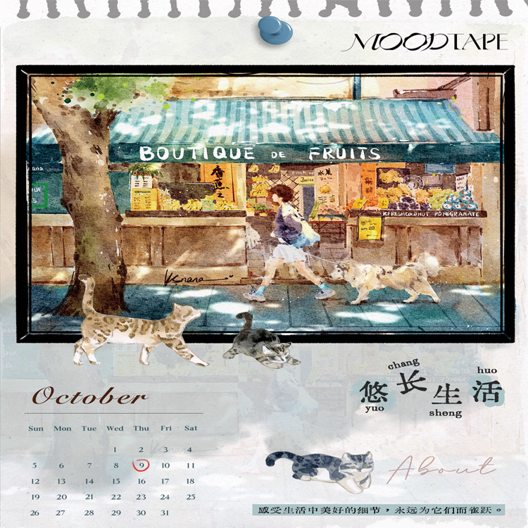 满18包邮MOODTAPE悠长生活PET分装特材拼贴贝壳光流麻手帐胶带