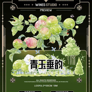 特材拼贴贝壳光流麻手帐胶带 wines青玉垂韵贝壳光分装 满18 包邮