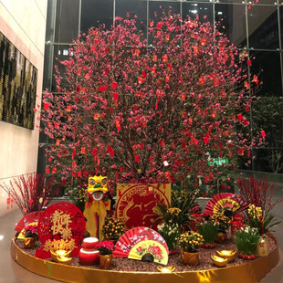 桃花树带花苞 年宵花卉新年好运喜庆植物真桃花树大苗盆栽地栽