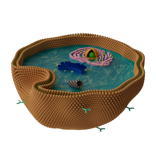 细胞膜生物膜素材科研素材C4D 3D格式源文件热门高清素材技能模版