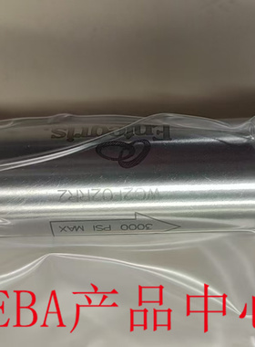 美国ENTEGRIS气体过滤器WG2FT1RR2