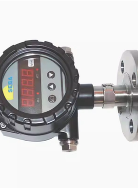 SEBA赛巴压力变送器MSP7000EX-PFA-F52-10K-D24-YA流量计