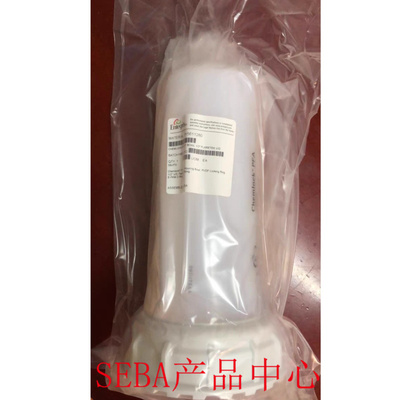 ENTEGRIS滤壳YY561120F