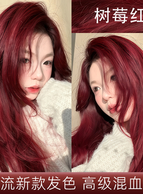 树莓红色染发膏剂女家用泡泡沫2026流行色固色持久官方旗舰店正品