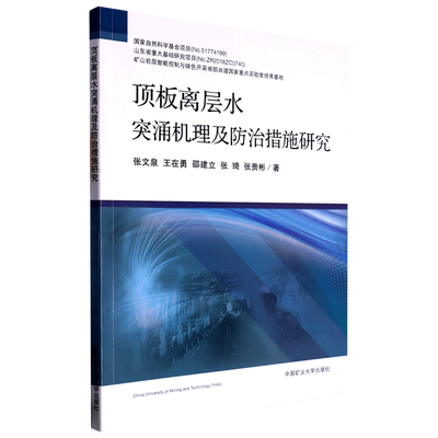 新华正版 顶板离层水突涌机理及防治措施研究 张文泉王在勇邵建立张琦张贵 矿业石油天然气 矿业工程 中国矿大 图书籍