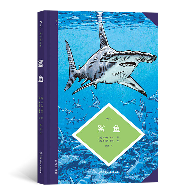带你了解鲨鱼的进化过程 形态特征和生活习性 以专业详尽的解说 闭骀