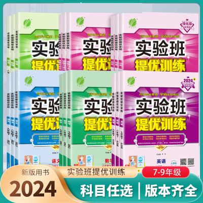 2024实验班提优训练初中