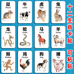 2026水晶卡贴十二生肖图片属相动物英语小卡片儿童画学生饭卡贴纸