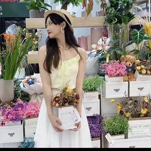 5300852阿家蚕丝吊夏季背心女吊带
