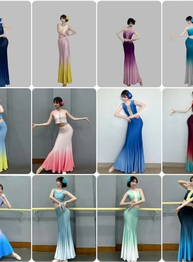 傣族舞蹈服装演出服儿童女女童艺考练习裙修身练功裙表演服鱼尾裙