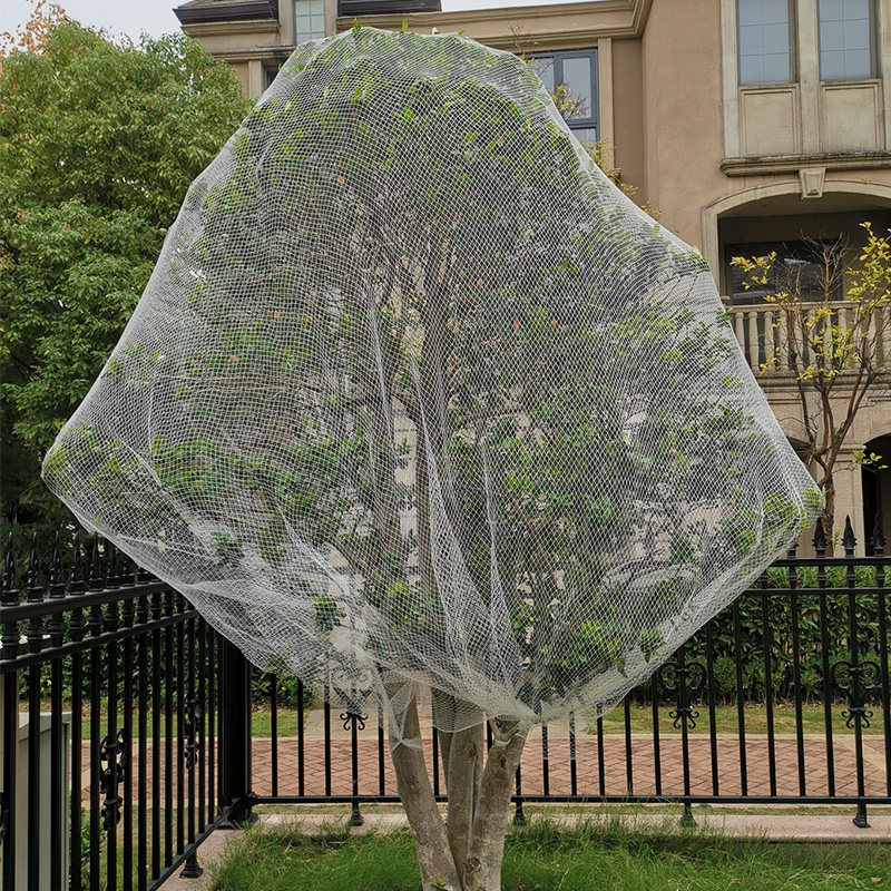 防鸟用的网菜地果园果树落叶葡萄架种菜丝网植物支架防雀罩树网纱,鲜花速递/花卉仿真/绿植园艺,其它园艺用品,淘宝优惠券,粉丝福利购,淘宝优惠卷