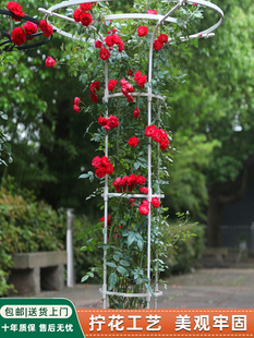 伞型花架爬藤架铁线莲月季园艺铁艺花柱架子阳台庭院藤架花支架