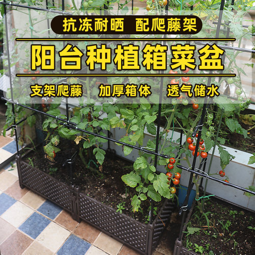 户外种菜植物箱家庭园艺室内花盆